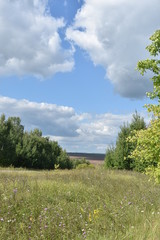 green field and blue sky