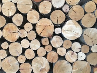 Fototapeta premium Surfaces of cut trees on the wall 