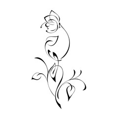 ornament 1035. one stylized flower Bud on a curved stem with leaves and curls in black lines on a white background