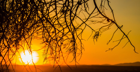 atardecer