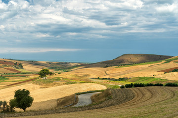 Rural landscape near Serracapriola, Apulia, Italy