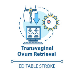 Transvaginal ovum retrieval concept icon. In vitro fertilisation. Hormone stimulation. Reproductive technology idea thin line illustration. Vector isolated outline RGB color drawing. Editable stroke