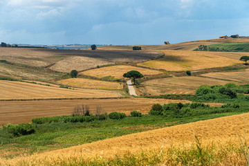 Fototapeta premium Rural landscape near Serracapriola, Apulia, Italy