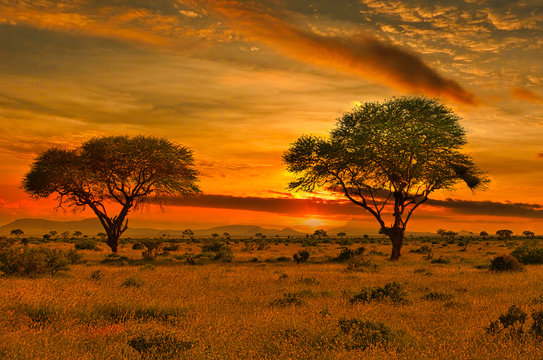 Sonnenuntergang und Sonnenaufgand im Nationalpark Tsavo Ost und Tsavo West in Kenia