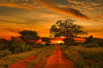 Sonnenuntergang und Sonnenaufgand im Nationalpark Tsavo Ost und Tsavo West in Kenia