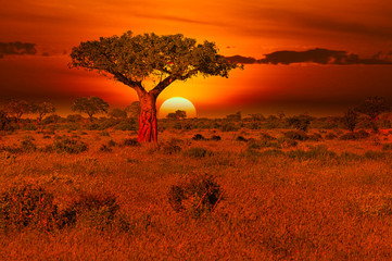 Sonnenuntergang und Sonnenaufgand im Nationalpark Tsavo Ost und Tsavo West in Kenia
