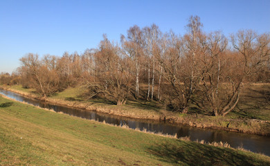 Naklejka premium Pleiße bei Regis-Breitingen