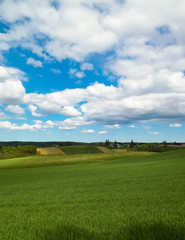 Nature landscape of green field in Kashubian village. Nature and agriculture concept.