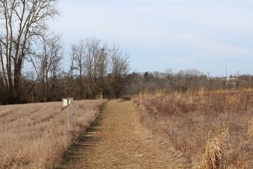 Obraz premium The grass trail in the countryside field on a sunny day.