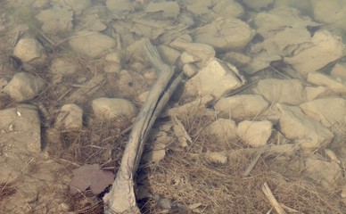 A close view on the rocks and stones the clear water.