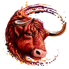 Red bull. Artistic, color, realistic portrait of a red bull in watercolor style on a white background.