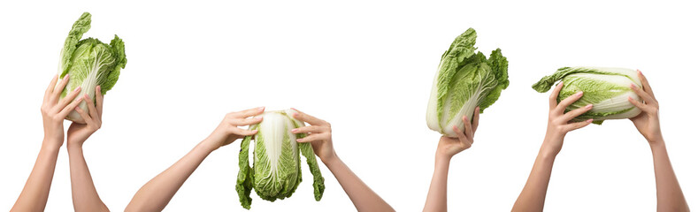 Woman hand holding fresh green chinese Cabbage. Healthy diet detail.