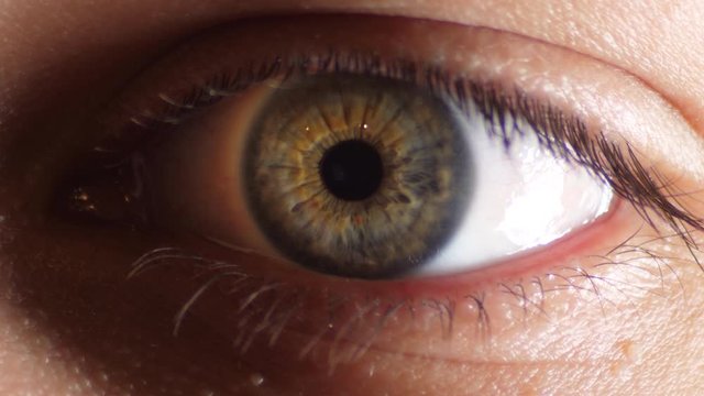 A hazel colored eye focusing - close up
