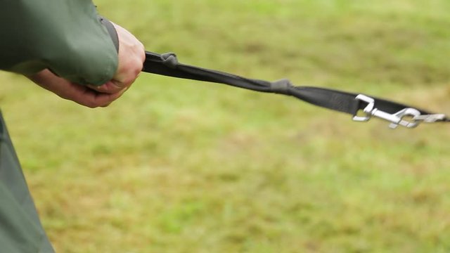 Dog pulling on a lead