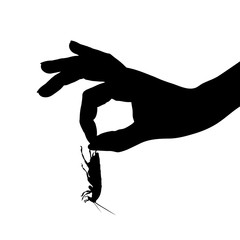 Vector silhouette of hand who catch cockroach on white background. Symbol of annoying insect.