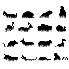 Obraz premium Vector silhouette of collection of animal in the grass on white background. Symbol of nature.