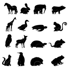 Vector silhouette of collection of animal with pup. Symbol of nature and family.