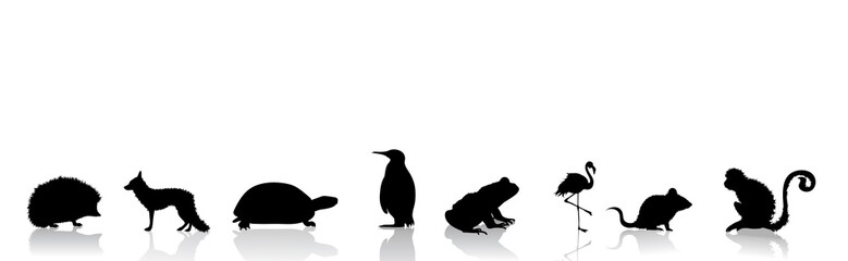 Vector silhouette of collection of wild animals on white background. Symbol of nature.