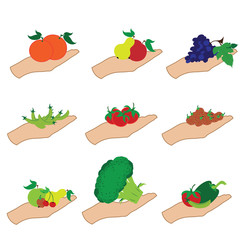 Vector illustration of hand show fruit and vegetable on white background. Symbol of healthy food.