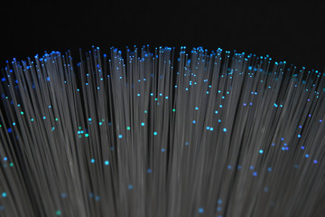 Detail of optical fibers on black background. close up.