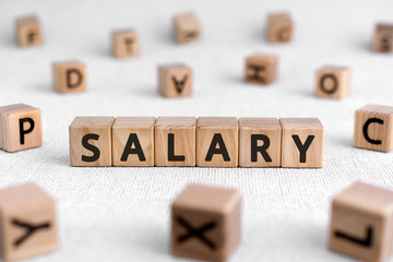 Salary -  words from wooden blocks with letters, a regular payment salary concept, white background