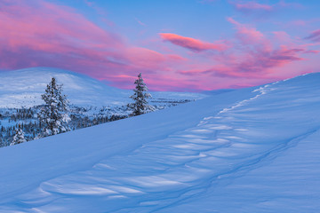 Obraz premium Norweigan winter mountain landscape with snowy trees