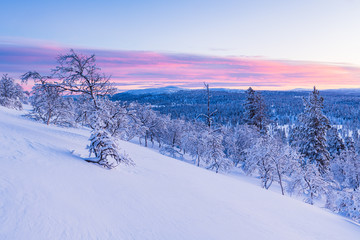 Obraz premium Norweigan mountain landscape at sunset with pink colors in sky.