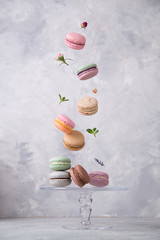 Sweet macaroons cookies falling in motion on grey background. Pastel colored flying macaroons with ingridients. Food, culinary and cooking concept levitation