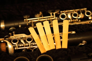 five clarinet reeds infront of the belonging instrument