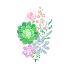 Succulent Echeveria Floral Arrangement Vector Illustration. Natural Cactus Bouquet
