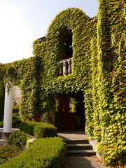 The landscape park in the village of Buky, Ukraine. Views of Suslov Manor.
