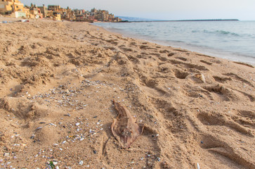 Beirut, Lebanon - once a popular bathing spot, the Saint Simon beach today is a pretty messy district with rundown buildings and trash all over. Still it can dispay beautiful views