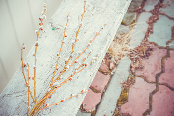Bound willow branch on Palm Sunday. © Evgenii