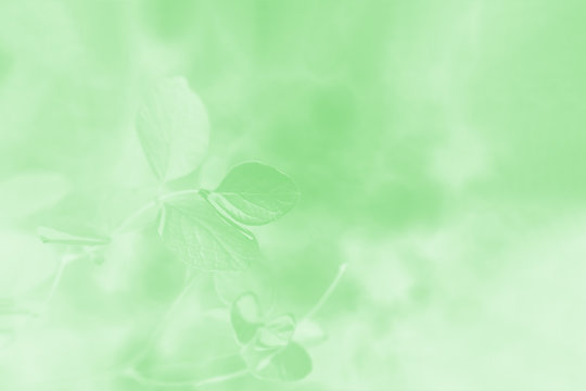 Light Green Gradient Images – Browse 611,828 Stock Photos, Vectors, and  Video | Adobe Stock