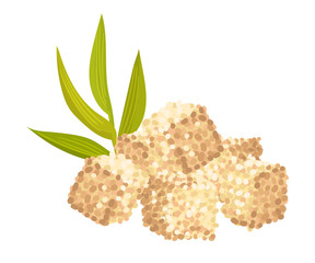 Sugar Cane Green Sprout with Pile of Refined Sugar in Cubes Vector Illustration