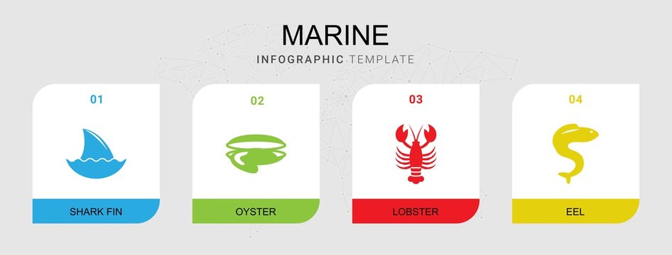 4 marine filled icons set isolated on infographic template. Icons set with shark fin, oyster, lobster, eel icons.