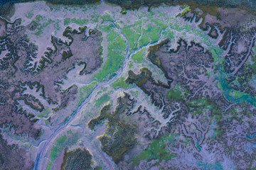 Oyambre Natural Park, San Vicente de la Barquera, Cantabrian Sea, Cantabria, Spain, Europe