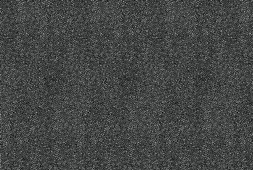 Abstract background. Monochrome texture. Image includes a effect the black and white tones. Vector stock illustration. The Design for wallpaper, covers, bags and packaging.