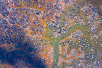 Marisma de Rubin, Rio del Escudo, Oyambre Natural Park, San Vicente de la Barquera, Cantabrian Sea, Cantabria, Spain, Europe