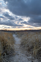 Beach Sand Path leading through bushes into horizon line
