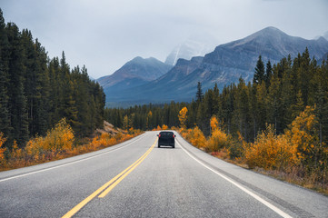 Scenic road trip with rocky mountain and rear car in autumn forest at Banff national park