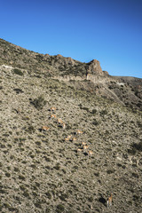 Department of Las Heras in Mendoza, Argentina