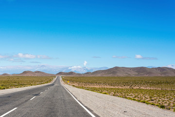 Los Cardones National Park in Salta, Argentina.