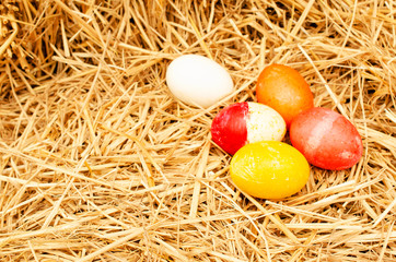 Easter eggs decoration on straw backgrounds