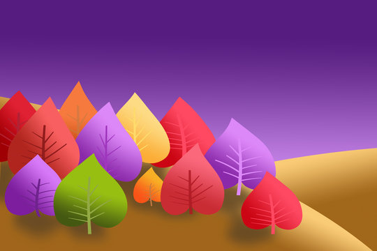 The forest is the most colorful landscape on Earth. His colors change all the time throughout the year.