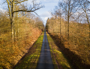 Fototapeta na wymiar Aerial view of straight and narrow road in Amboise forest, France. Winter season.