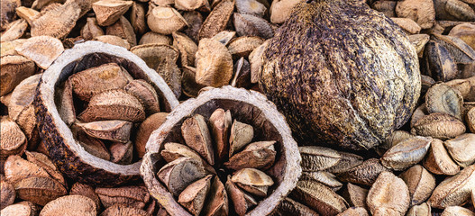 Chestnuts from Pará, also known as Brazil nuts (in Portuguese: Castanha-do-Pará or Castanha-do-Brasil) Center of Belém, Pará, northern Brazil, bolivia and Amazon rainforest.