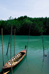 Selective focus of a wooden boat on green lake water with mangroves