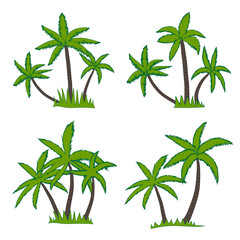 Set of coconut palm tree isolated on white background. Vector illustration.