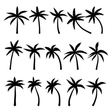 Set of silhouette coconut palm tree isolated on white background. Vector illustration.